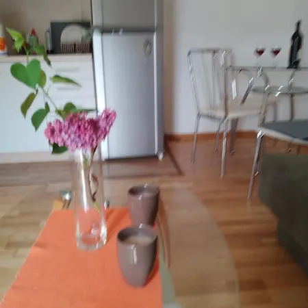 Vesna M Soko Banja