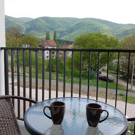 Vesna M Soko Banja