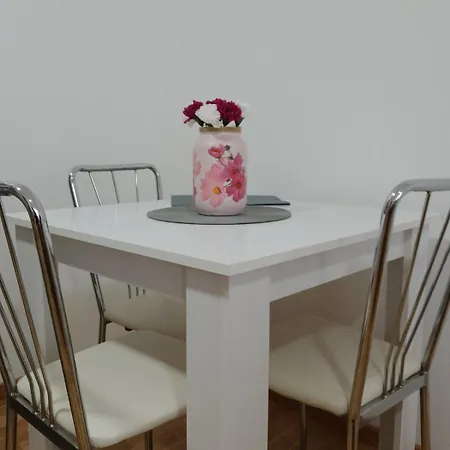 Apartment Vesna M Soko Banja
